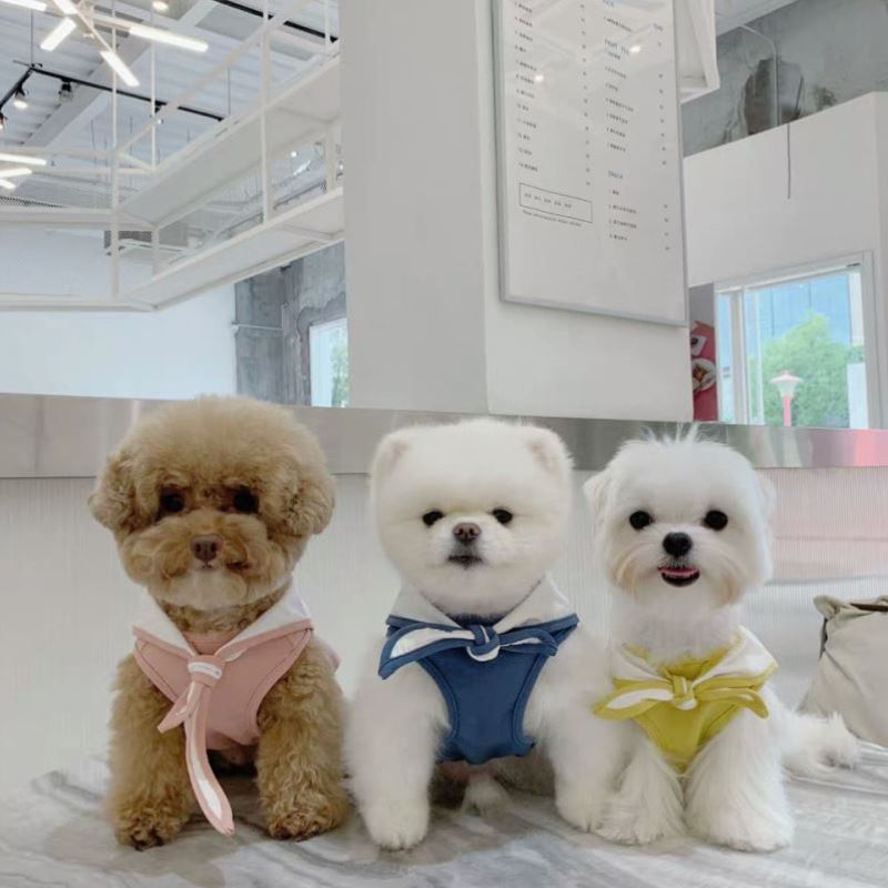 Thin Spring And Autumn Fashion Dog Clothes