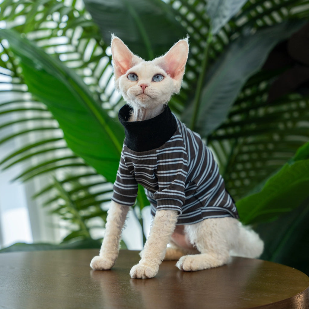 Summer New Striped T-Shirt Pet Clothes