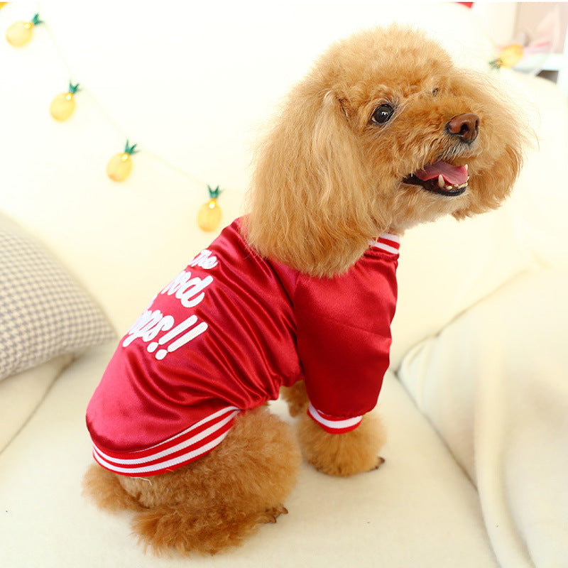Thick puppies for small puppies and cats