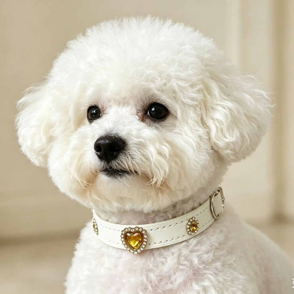 Cat And Dog Decorative Rhinestone Pet Collar