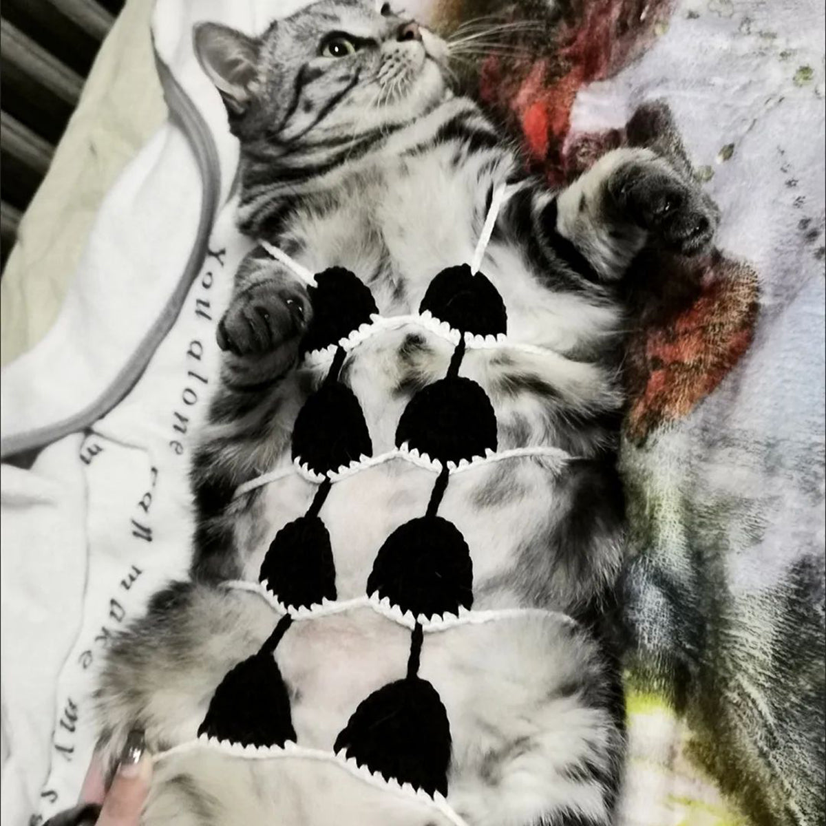 Funny Cat Clothes Cosplay Cat Bikini Sexy Pet Underwear Cat Bra Halloween Dress Pet Bikini Clothing Festival Party Clothing