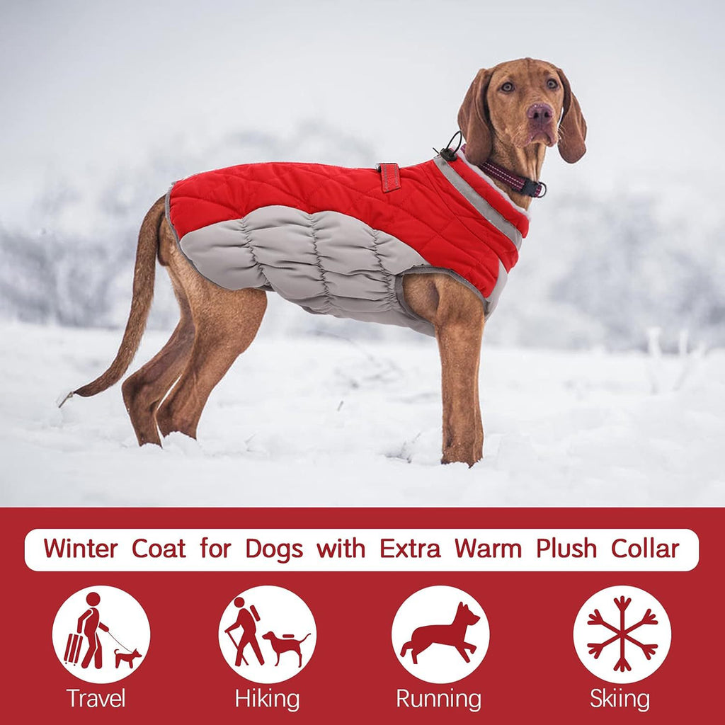 Pet Clothing Dog Padded Coat Winter Windproof Warm Dog Padded Coat