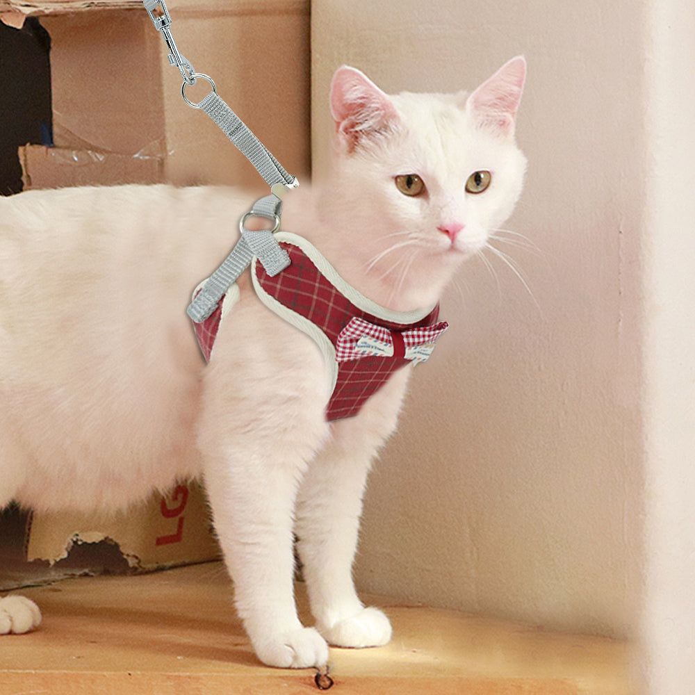 Vest type catrope
