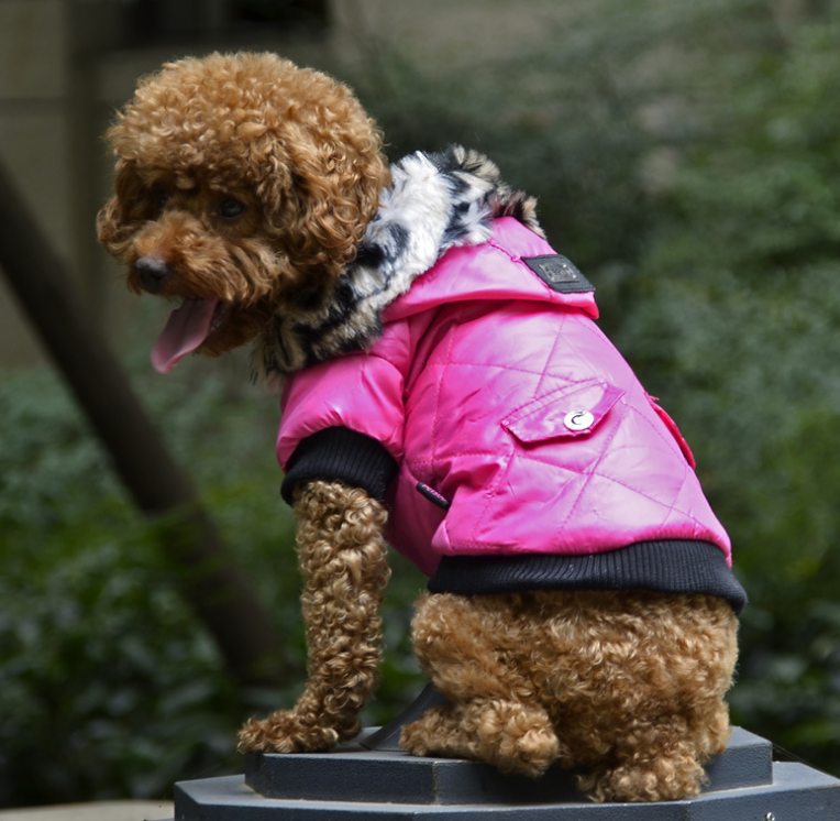 pet supplies pet clothes dog clothes autumn and winter fur collar coat pet dog clothing