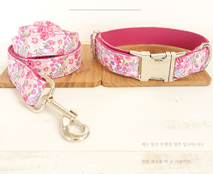 Classic Leash Set