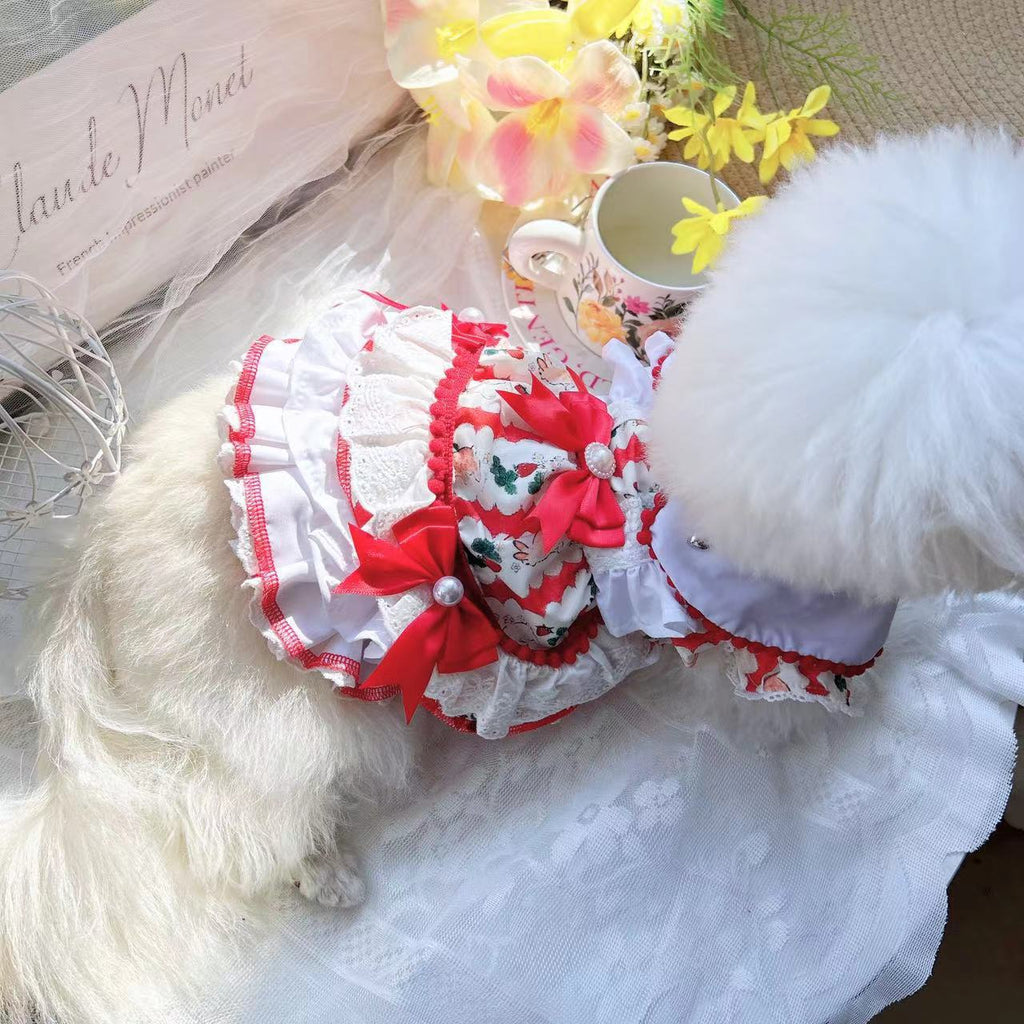 Pet Dog Clothes Clothes Are Better Than Xiong Bo