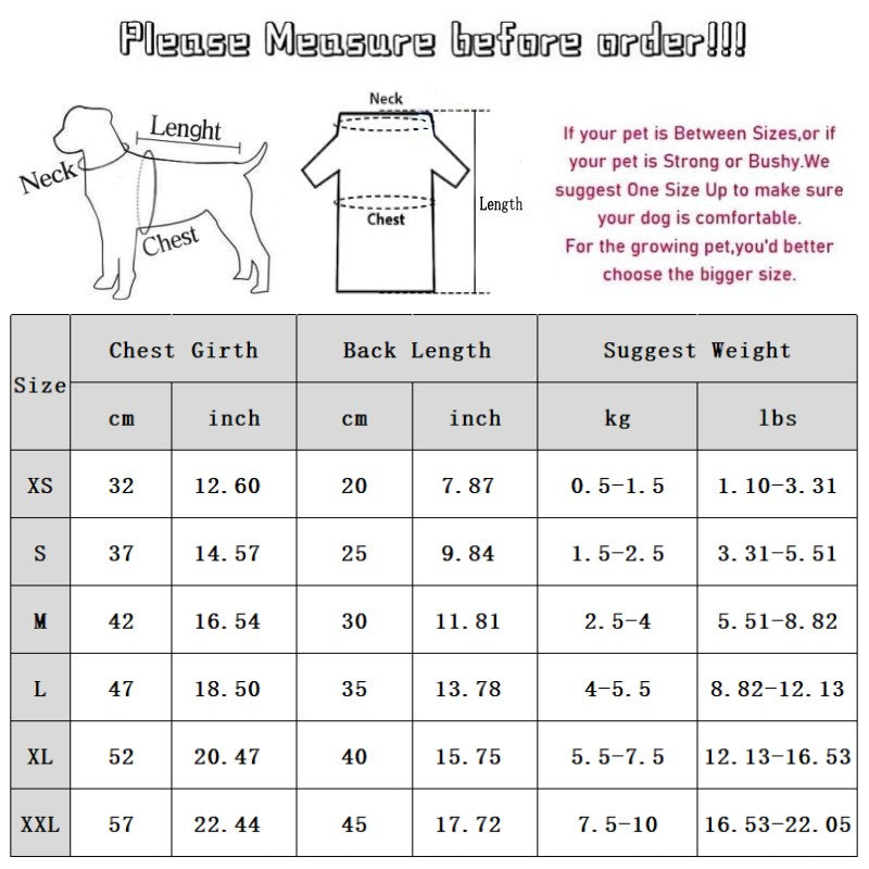 Autumn And Winter Dog, Small And Medium-sized Dog, Cute Puppy, Color-block Base Shirt, Cat Two-legged Shirt, Teddy Pet Dog Clothes