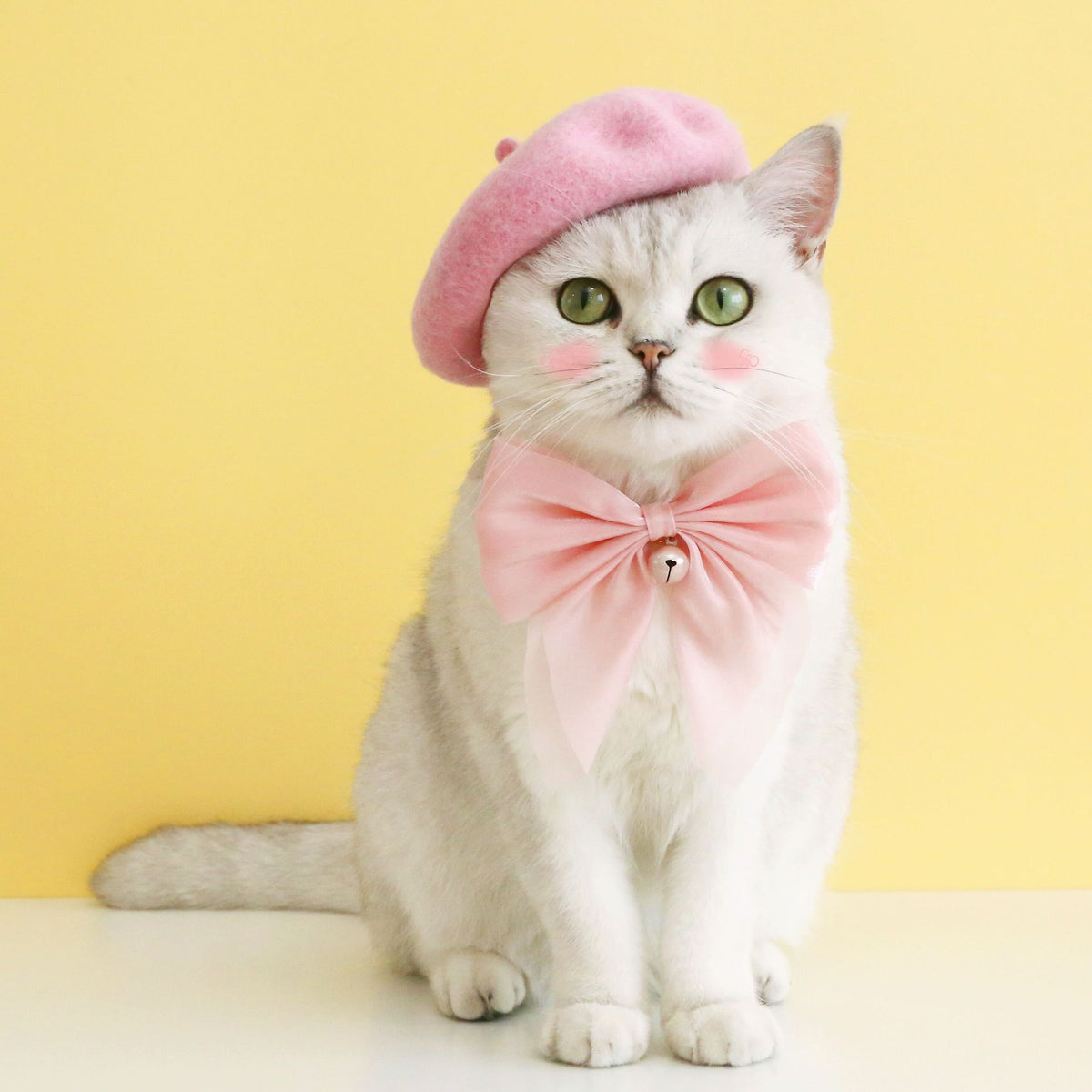 Pet Cat Muppet Dog Bell Necklet Set