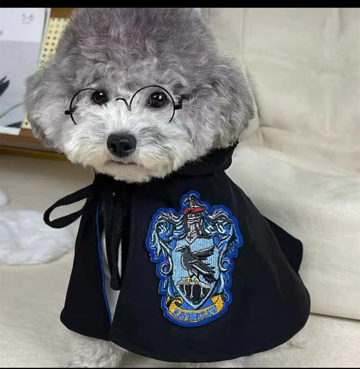 Pet Cat Dog Magic Harry Potter Glasses Small Cloak Robe Shawl College Internet Celebrity