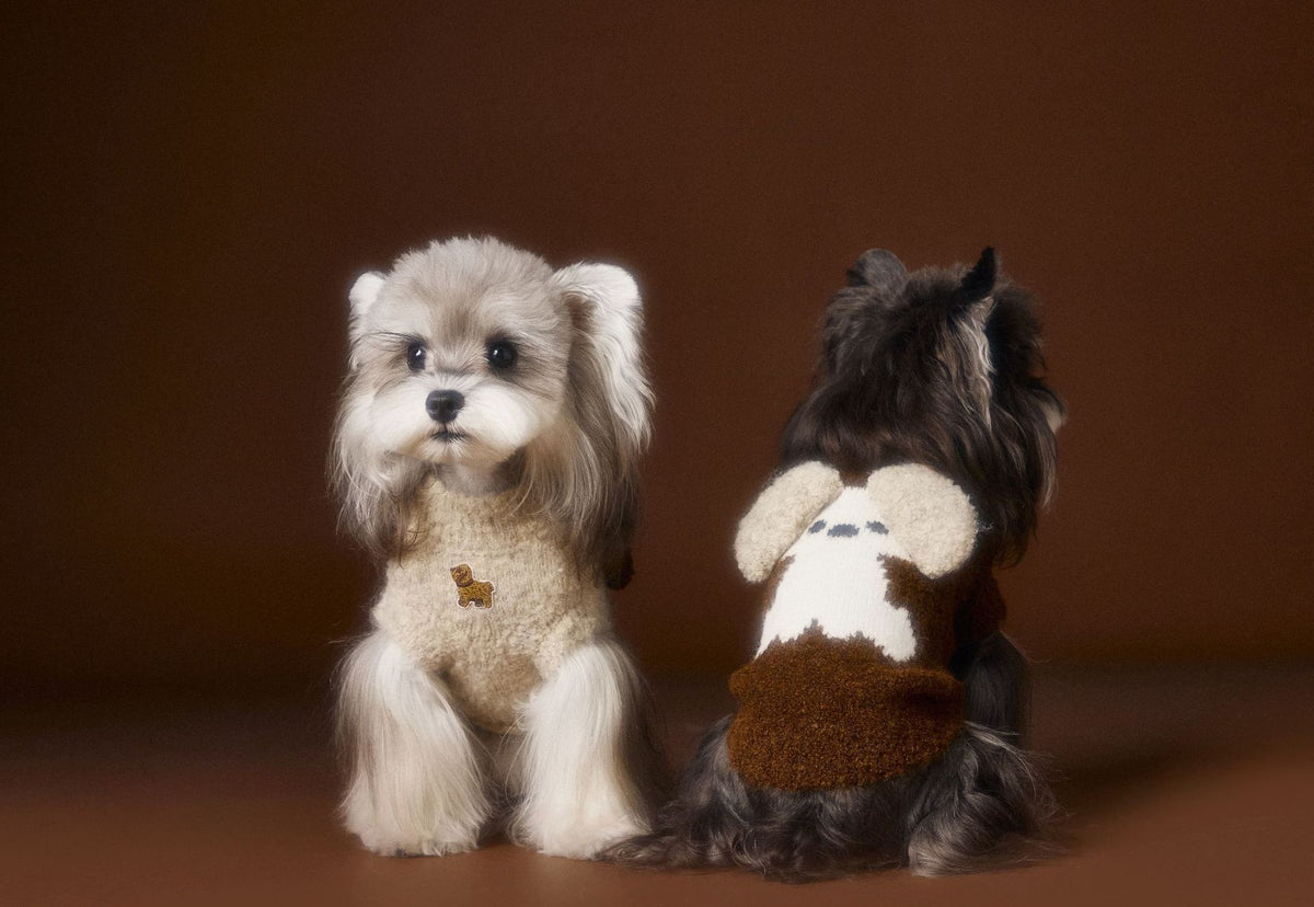 Autumn And Winter Sleeveless Teddy Schnauzer Bichon Puppy Head Three-dimensional Ear Sweater Vest