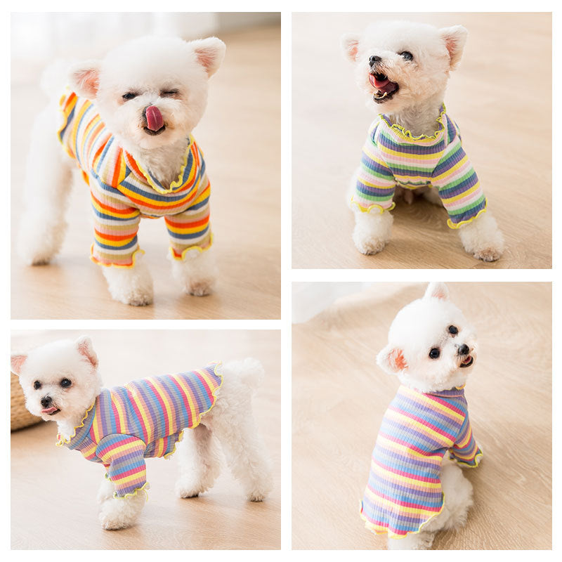 Knitted rainbow dog clothes