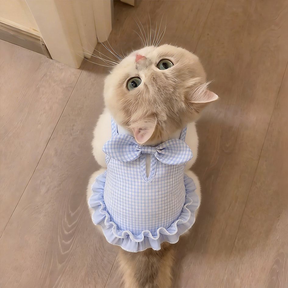 Cat Clothes Summer Thin Stylish Dress