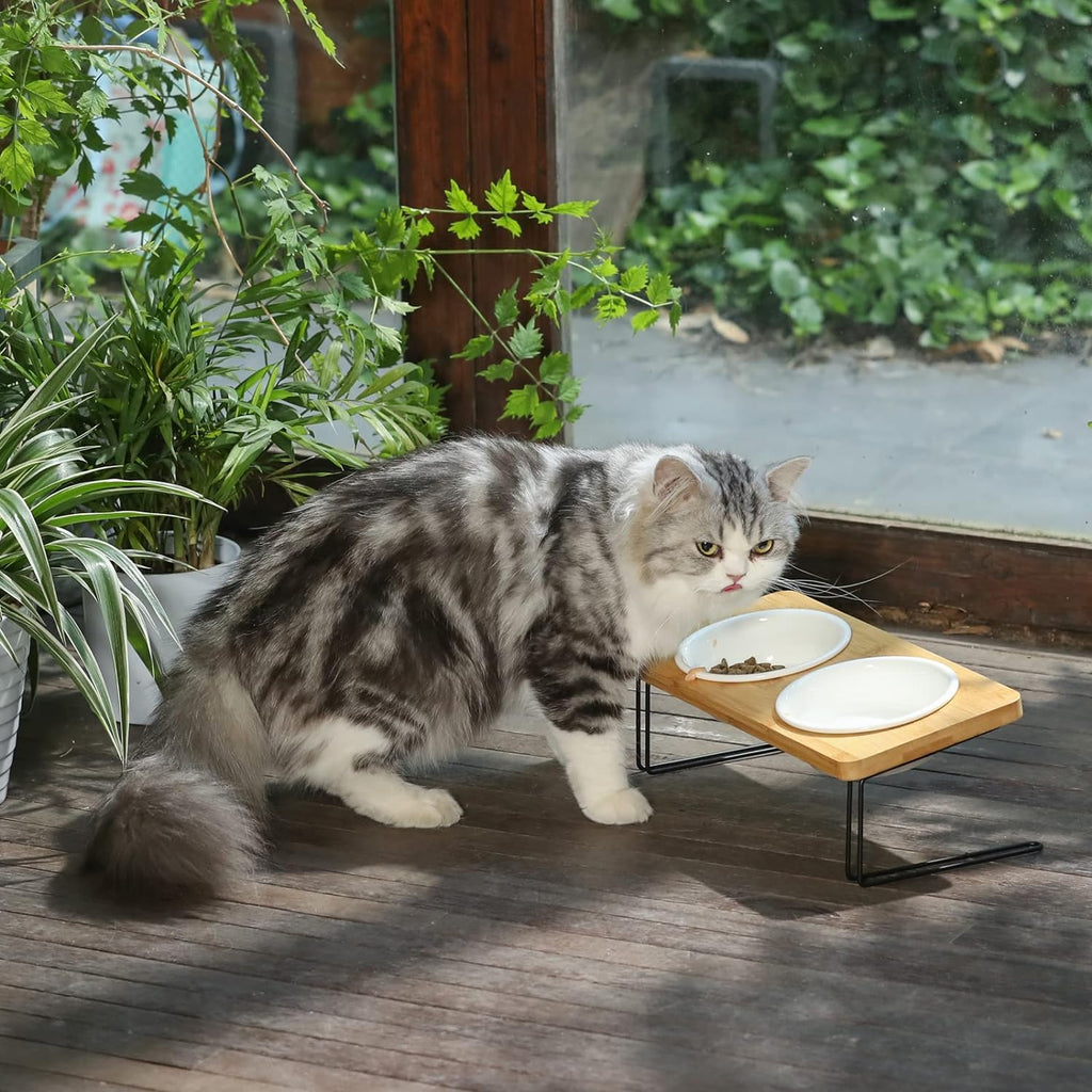 Small Dog Water And Food Feeder - Tilted Ceramic Bowl Set With Bamboo Stand