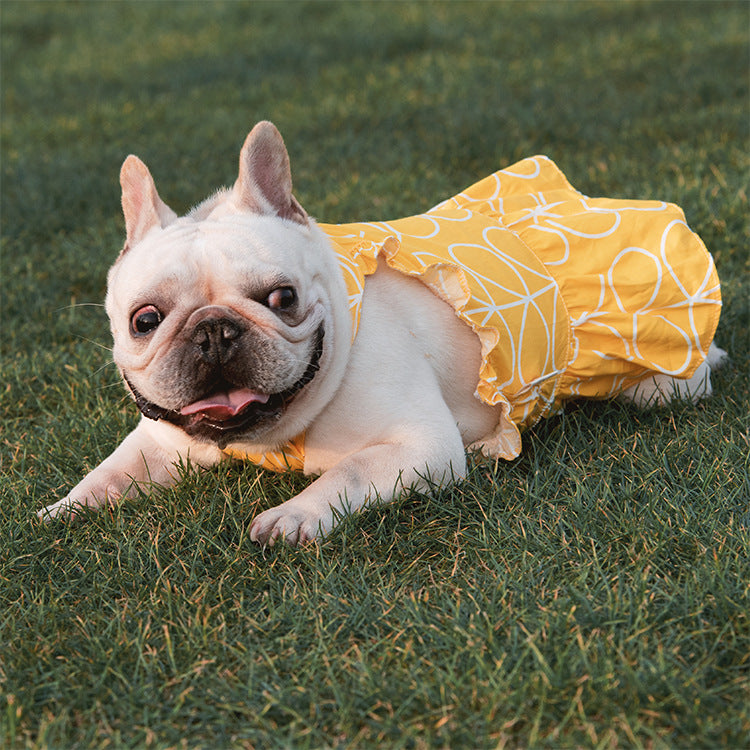 Pet Clothes Dress Cotton Cartoon Print Spring