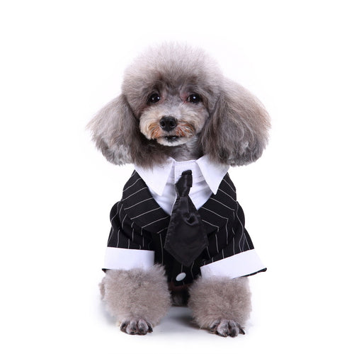 's pet dog clothes suit