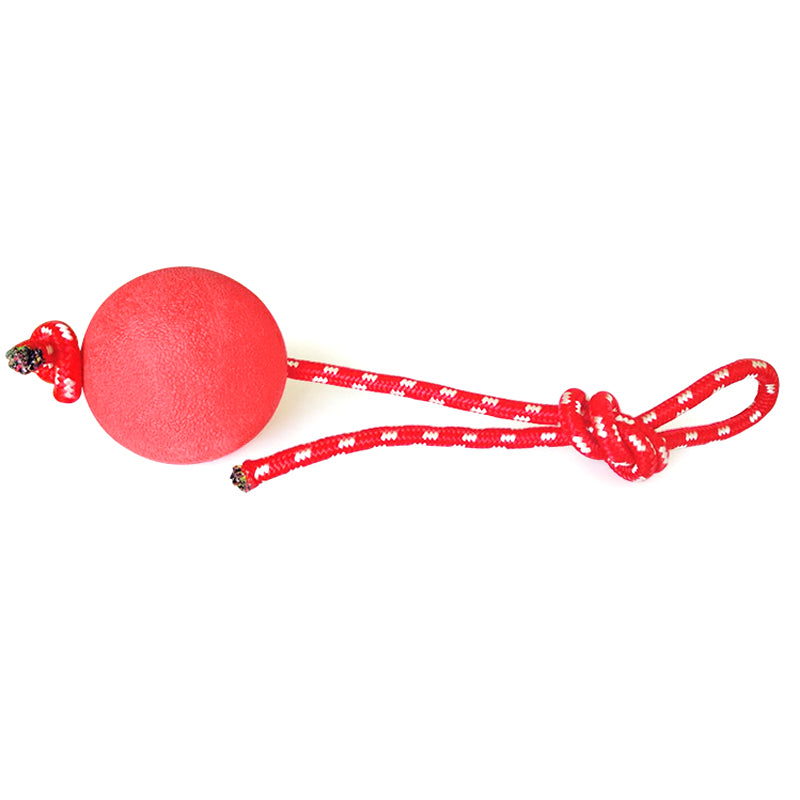 Solid rubber elastic ball
