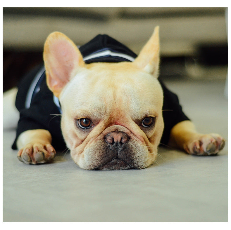 Dog clothes for autumn and winter