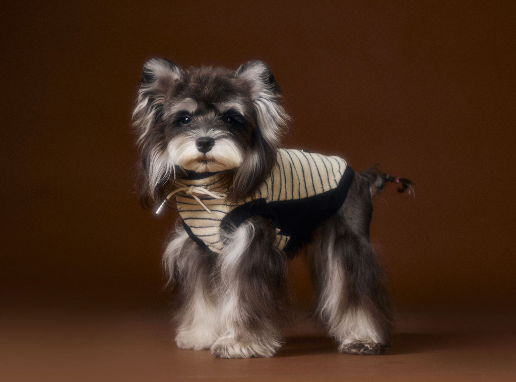 Teddy Bichon Maltese Yorkshire Striped Sleeveless Sweater