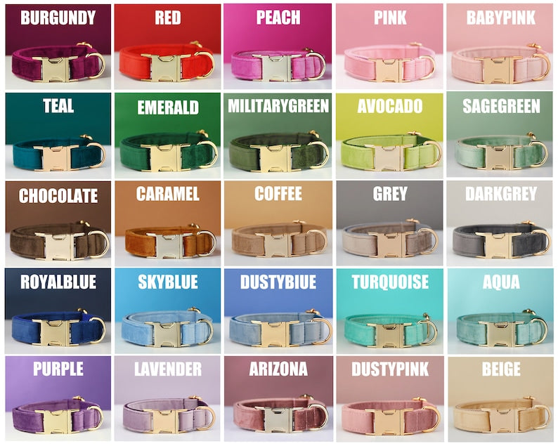 Multiple Colour Velvet Personalise Dog Collar Leash Set With Bow