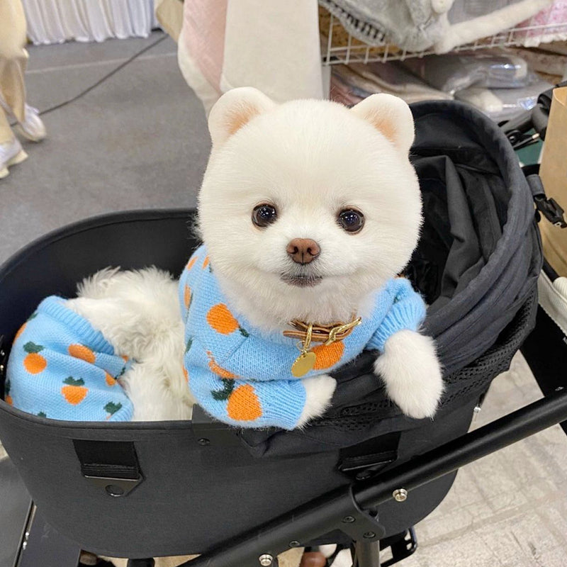 Cute Printed Dog Clothes Knitted Sweater Long Sleeve