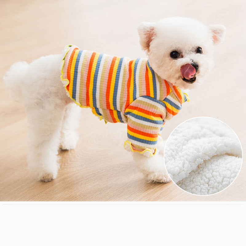 Knitted rainbow dog clothes