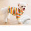 Knitted rainbow dog clothes