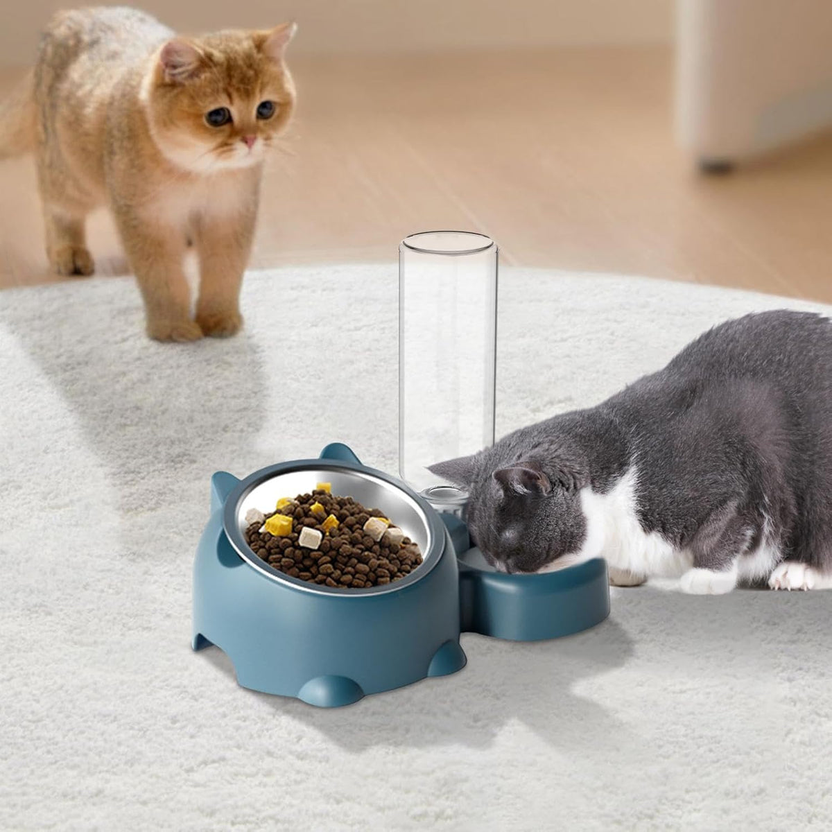 Cat Food And Water Bowl Set - 16 Degree Tilted Dog Dish With Water Dispenser Removable Pet Feeder Bowl Dog Drinking And Eating Bowl Detachable Pet