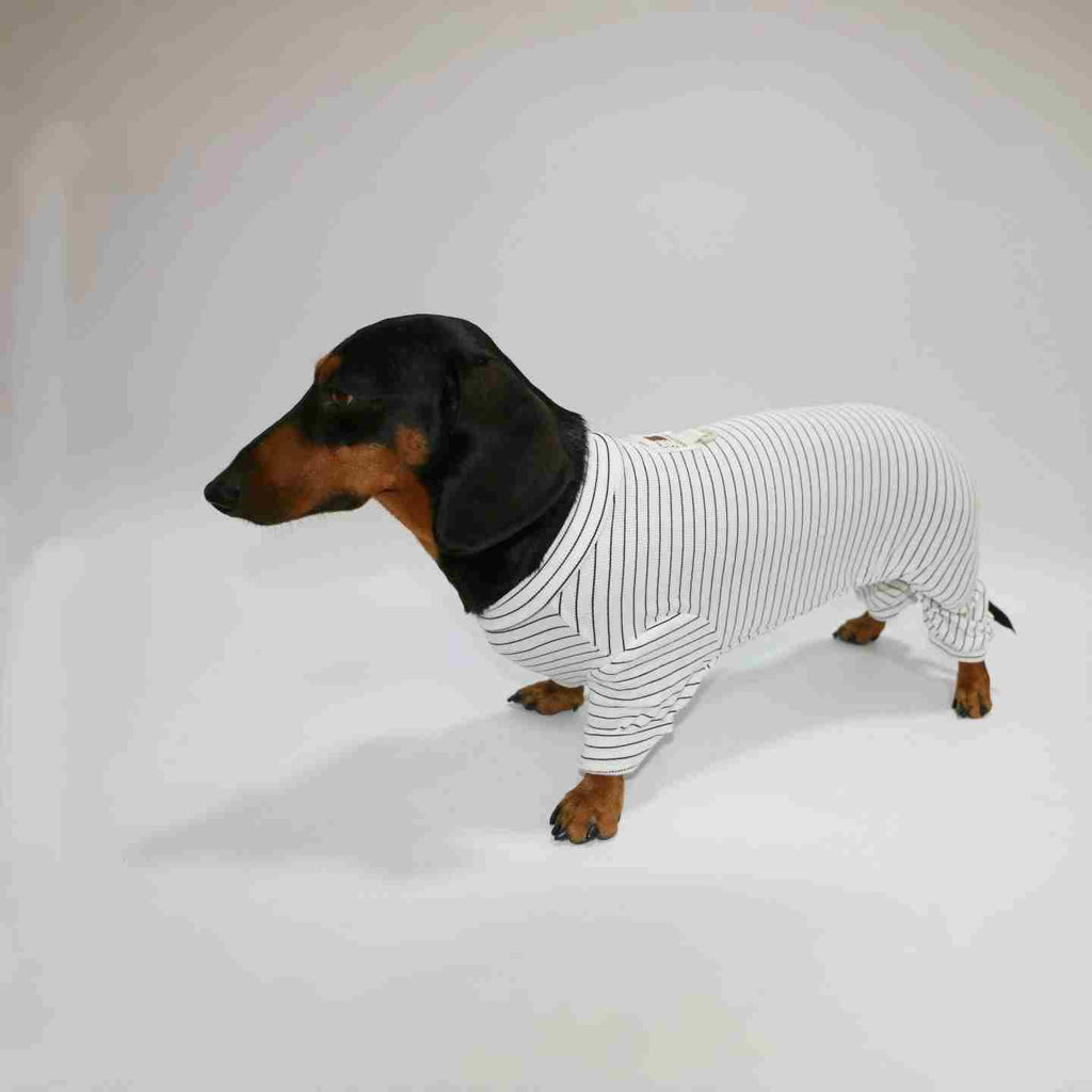 Thin Striped Dog Cat Pet Clothes