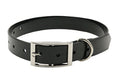 Factory Wholesale PVC Plastic Waterproof Dog Collar Wear-resistant Dog Collar Out Dog Traction Collar Pet Supplies