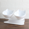 Tilted raised cat bowl