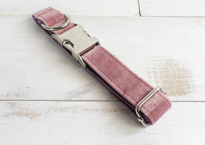 Pet Traction Collar Dog Collar