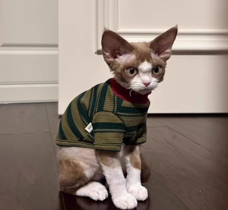 A Cute Green Striped Two-legged Vest