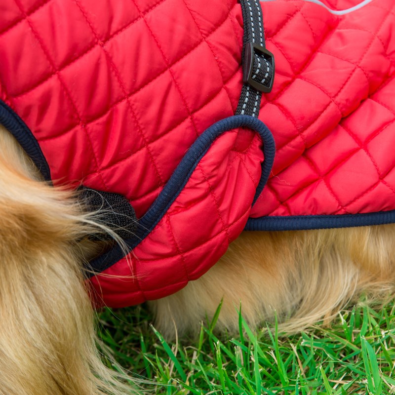 Adjustable Warm Pet Cotton Jacket