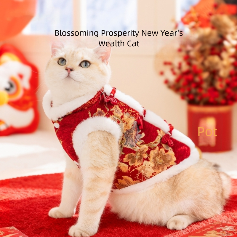 In Autumn And Winter, Cats Keep Warm. Chinese Style Of Wealth And Prosperity Bloom. New Year, Button-down Vests, Tang Suits, Little Dogs