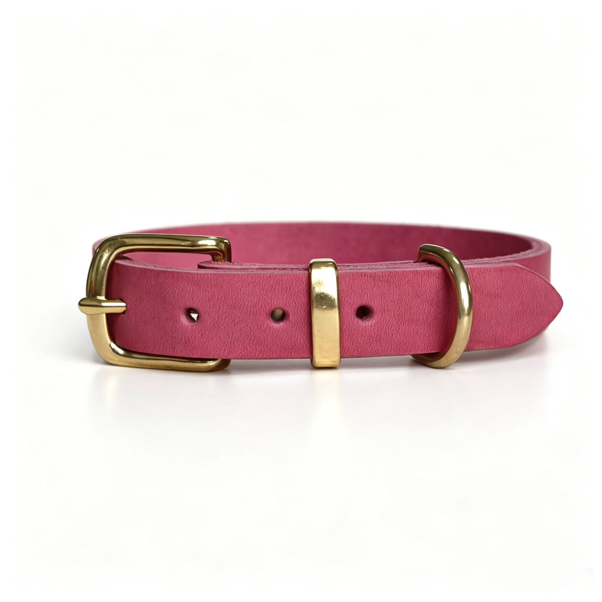 Vintage-style Pet Collar With Brass Fastenings