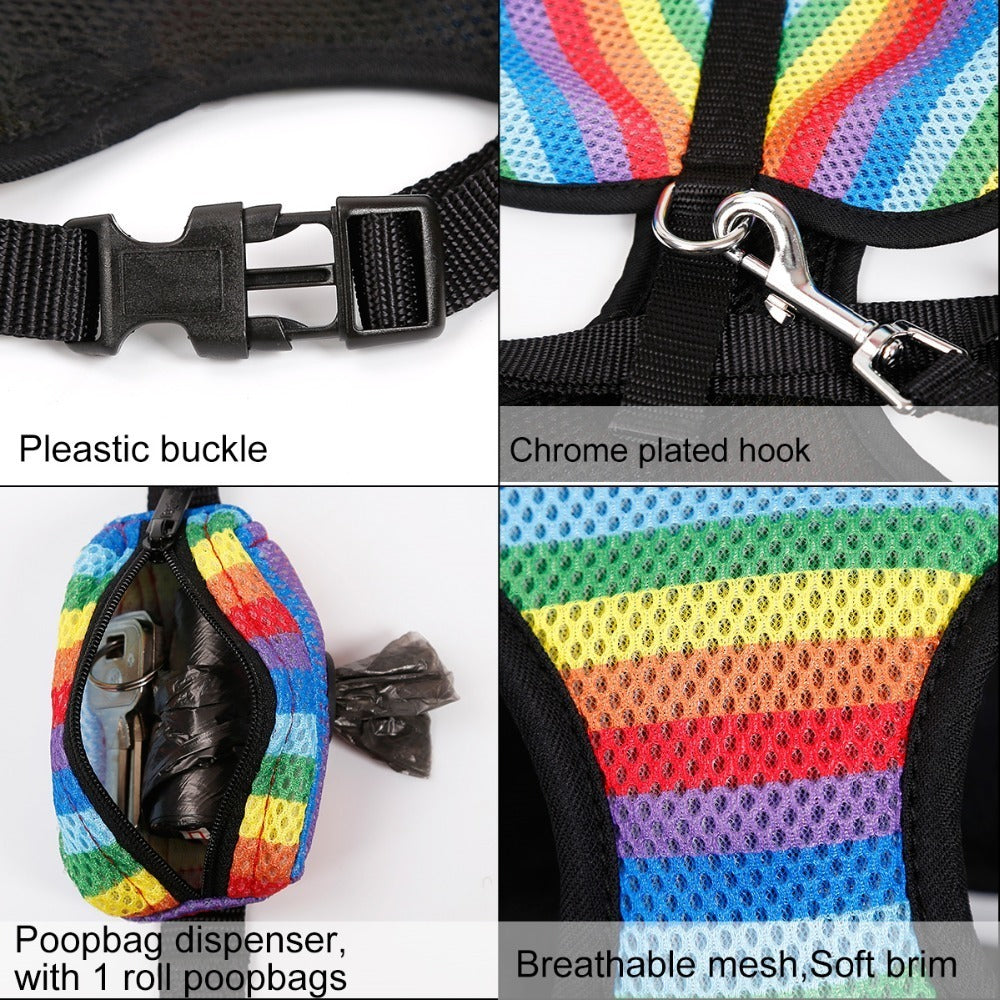 Rainbow chest strap