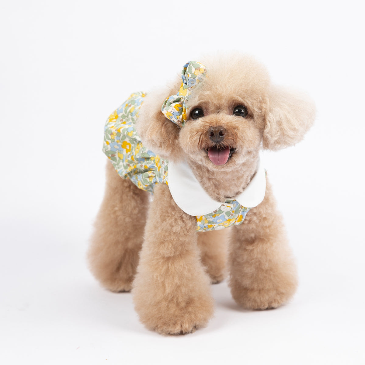 Pet Dog Simple Floral Camisole Clothes