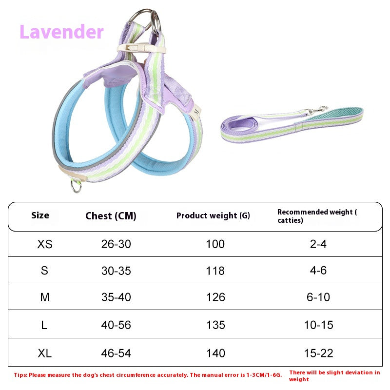 Dog Hand Holding Rope Walking Dog Lightweight Pet Harness