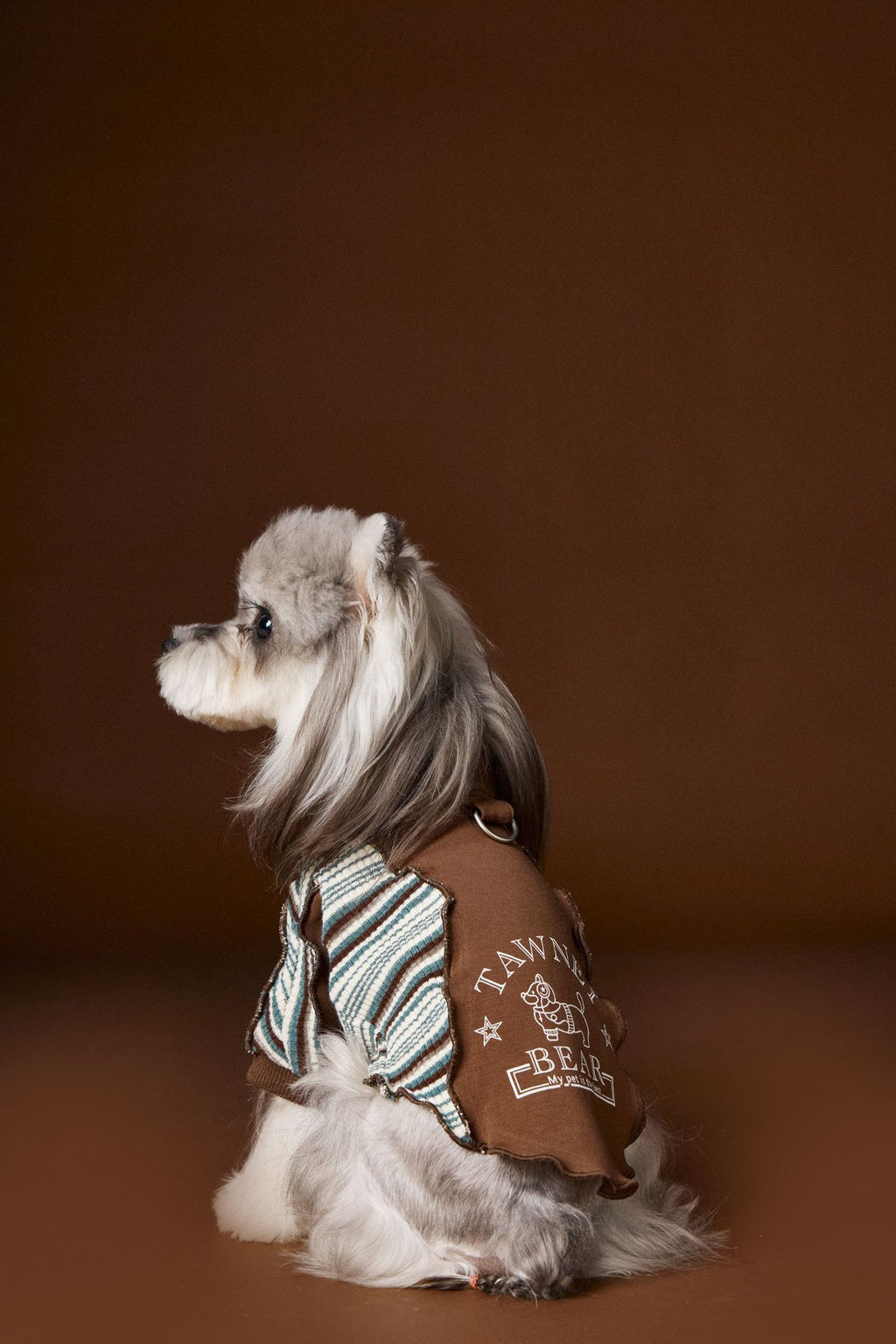 Schnauzer Teddy Bichon Yorkshire Striped Stitching Zipper Sweater