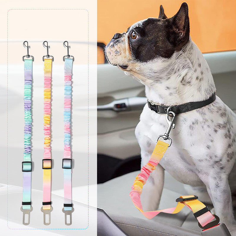 Car Fixed Pet Elastic Hand Holding Rope