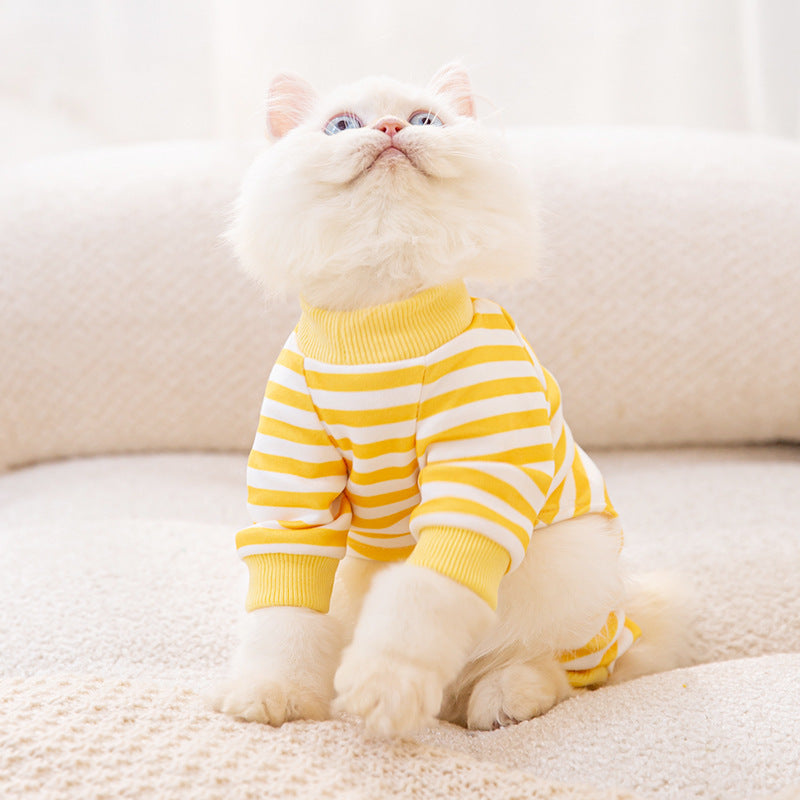 Household Fashion Object Cat Clothes