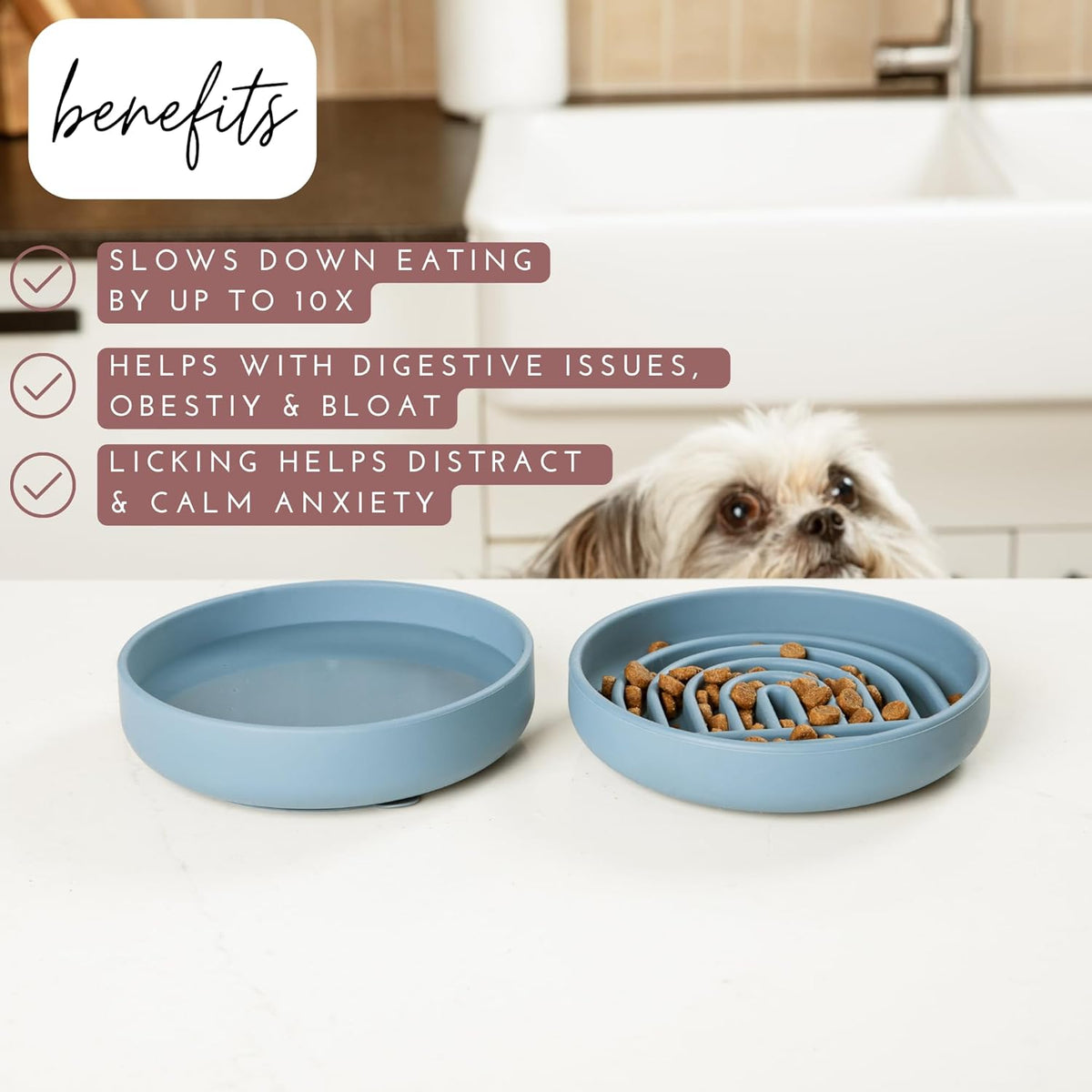 The Slowdown Bowl Silicone Slow Feeder For Dogs Puppies Slow Eating Modern Lick Mat Design Reduces Gulping Dishwasher Fit For All Breed Mealtime