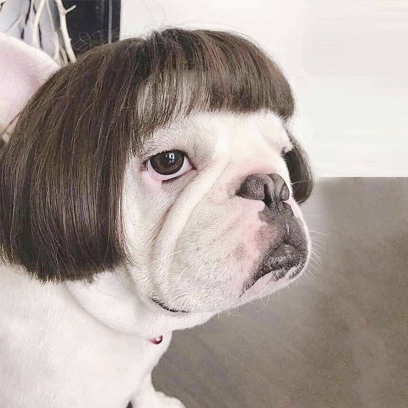 Wig Pretty Pet Head
