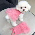 Breathable New-Style Pet Clothes Dress
