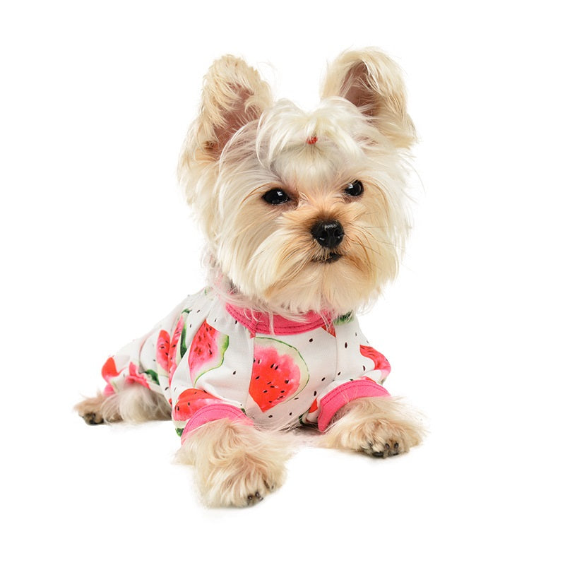 Cute Dog Pet Clothing Wholesale Watermelon Printing Four-leg Jumpsuit