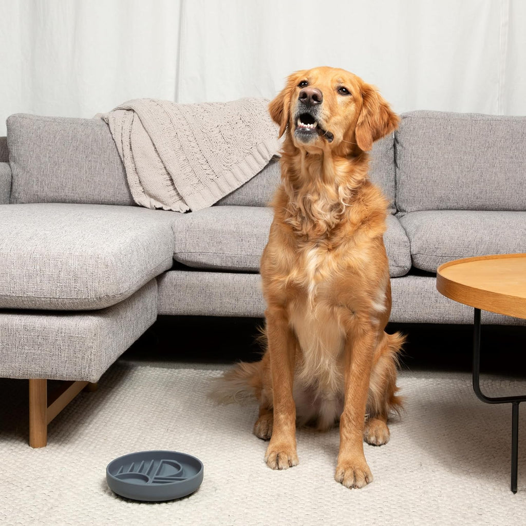 The Slowdown Bowl Silicone Slow Feeder For Dogs Puppies Slow Eating Modern Lick Mat Design Reduces Gulping Dishwasher Fit For All Breed Mealtime