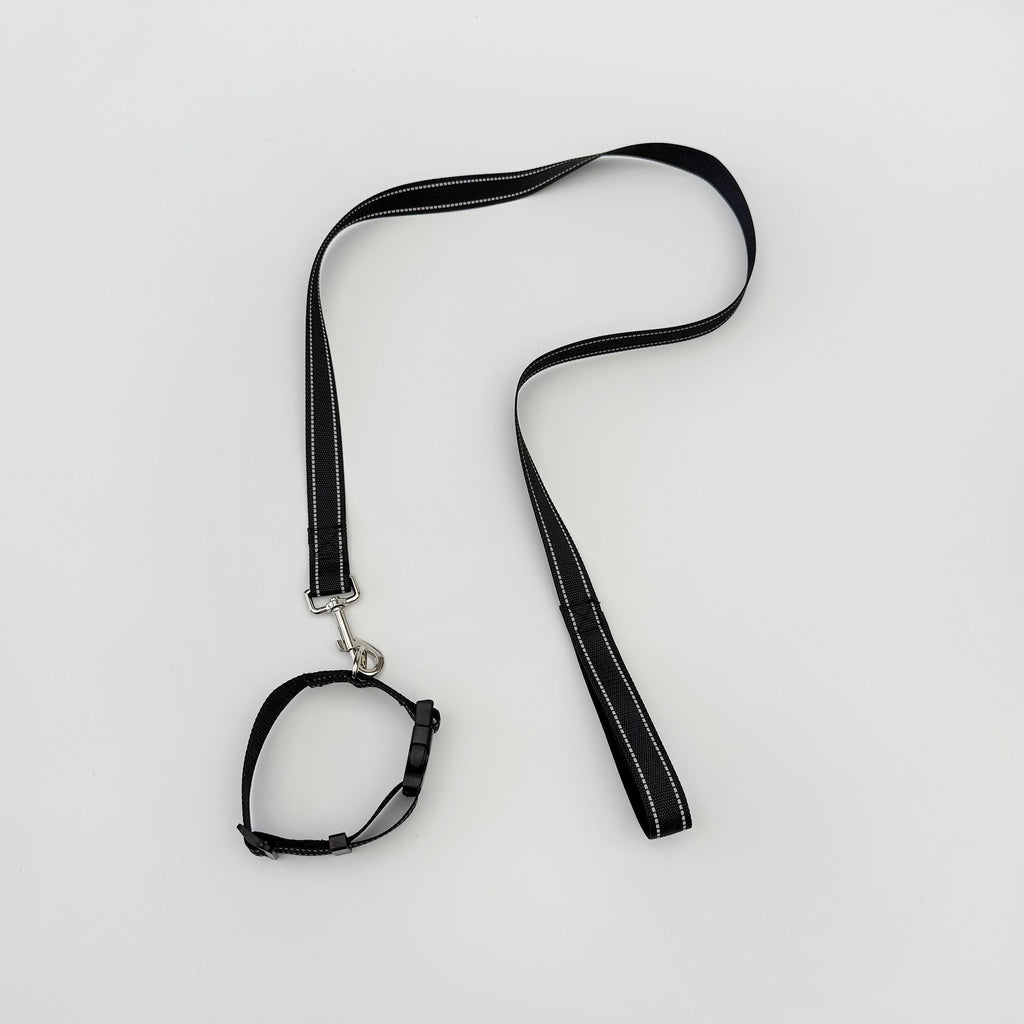 New Pet Collar Set