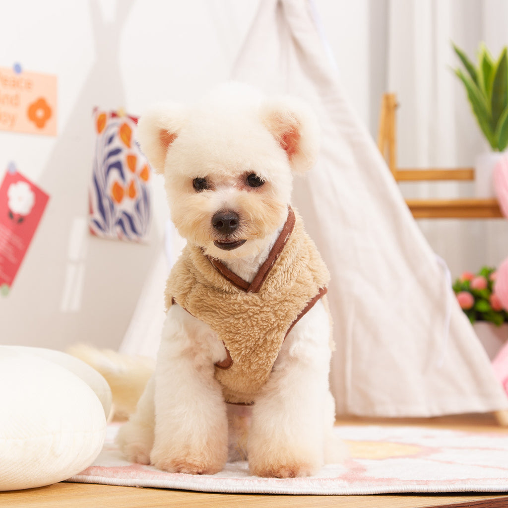 Autumn And Winter Double-sided Plush Dog Clothes