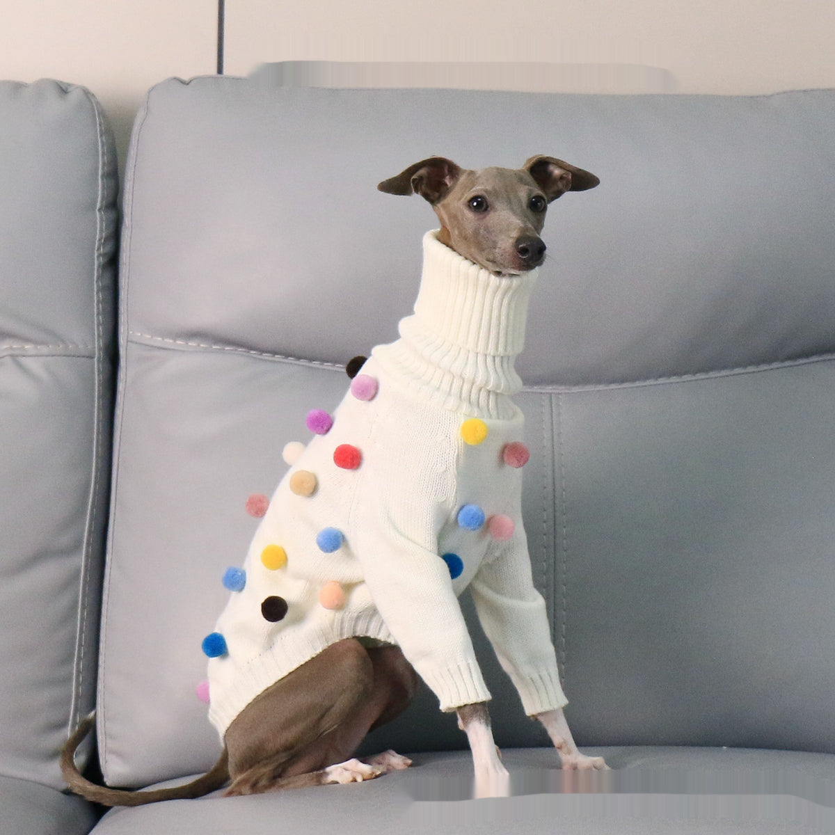 New Italian Greyhound Whippet Christmas Sweater