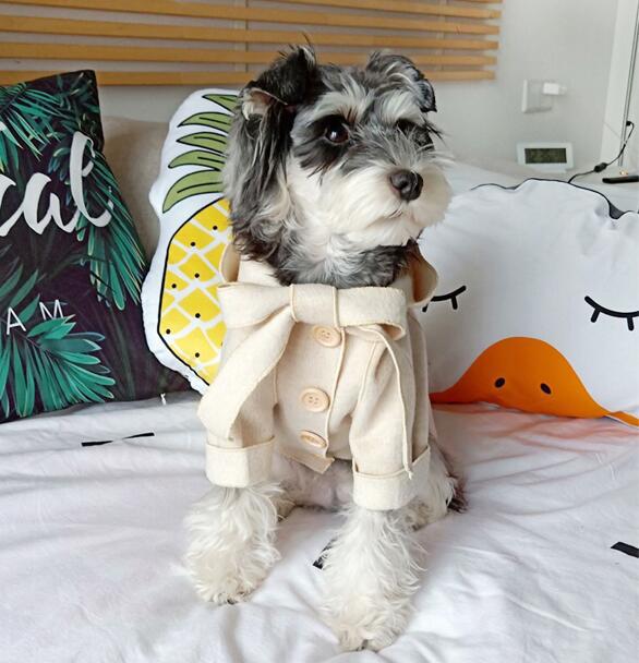 Bichon Shiba Inu Teddy Clothes Puppy Cat Fall Winter